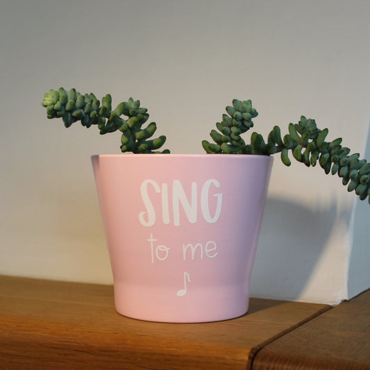 Plant pot